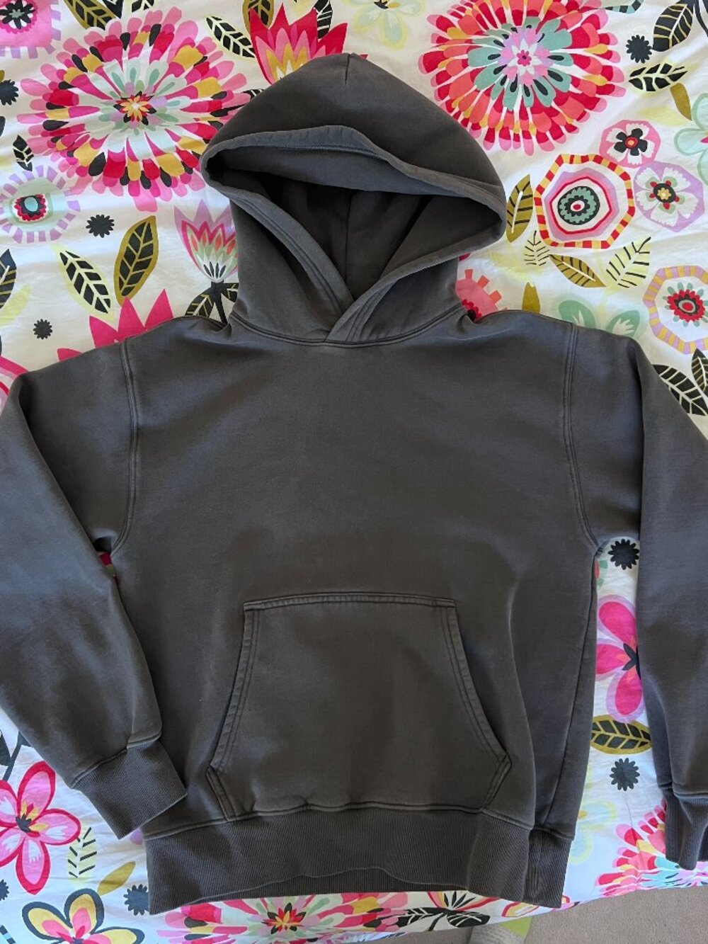 Aritzia Cozy Sweatfleece Perfect Hoodie Size M